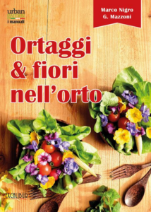 Immagine1